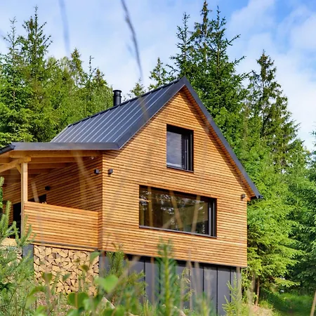 Villa Forest&lake Retreat Dehtare (Vysocina)